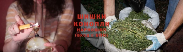 mdpv Медвежьегорск
