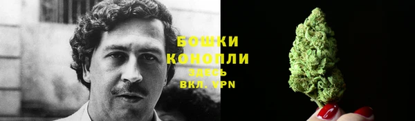 mdpv Медвежьегорск