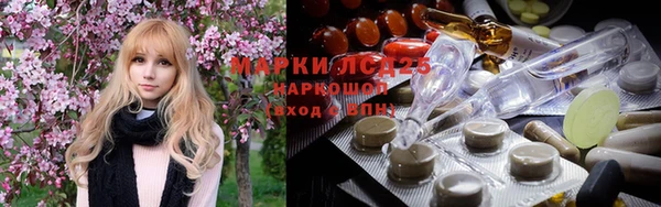 mdpv Медвежьегорск