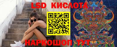 ПСИЛОЦИБИНОВЫЕ ГРИБЫ Гай