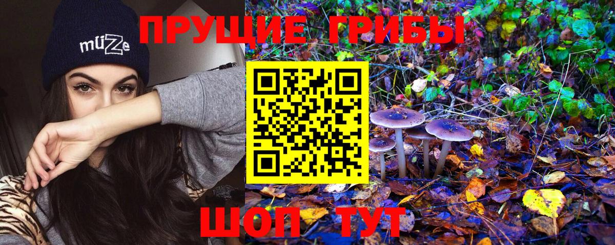 Галлюциногенные грибы Psilocybine cubensis  наркота  Ижевск 