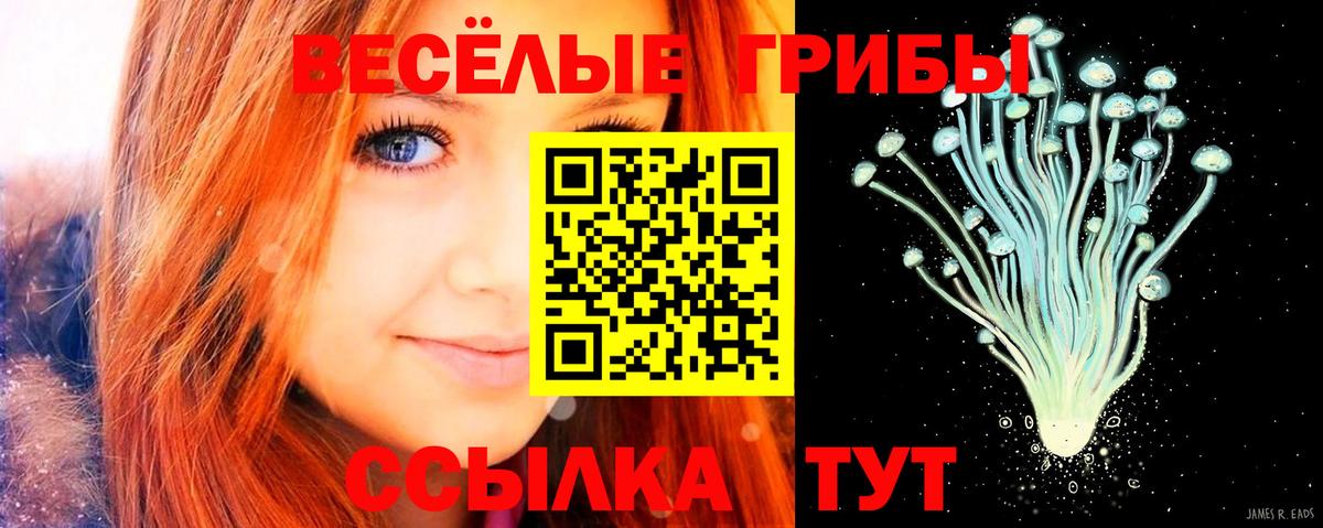 Псилоцибиновые грибы MAGIC MUSHROOMS  Вход с VPN  Псилоцибиновые грибы Psilocybe  Ижевск 